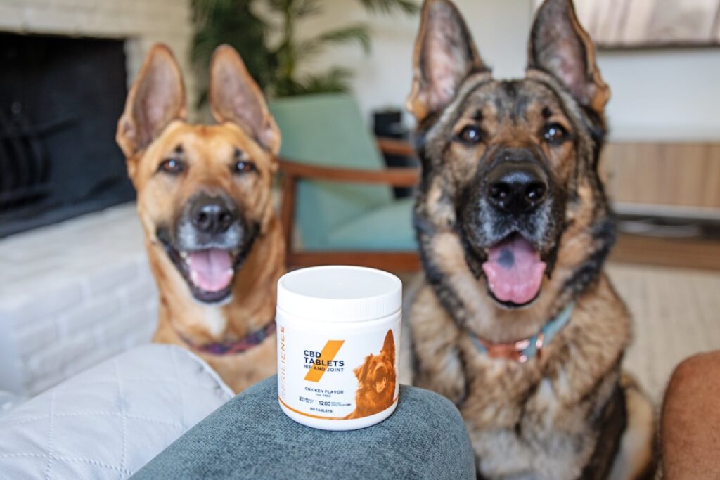 Pet Care Tips for a Happier and Healthier Pet